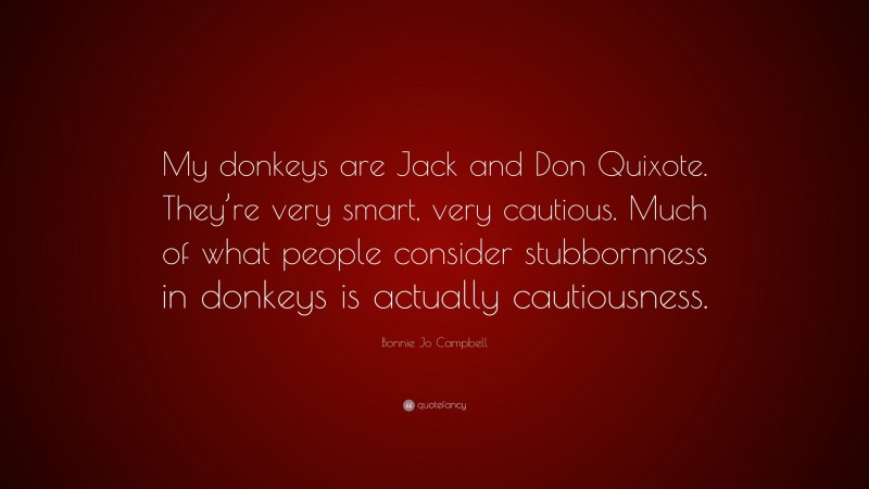Bonnie Jo Campbell Quote: “My donkeys are Jack and Don Quixote. They’re very smart, very cautious. Much of what people consider stubbornness in donkeys is actually cautiousness.”