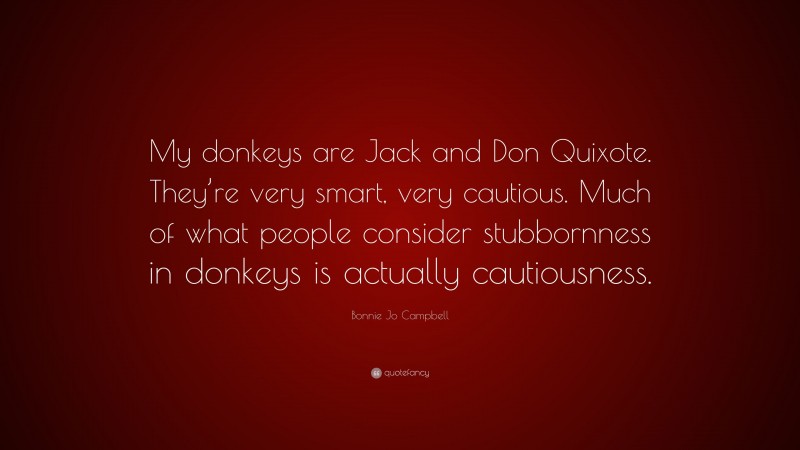 Bonnie Jo Campbell Quote: “My donkeys are Jack and Don Quixote. They’re very smart, very cautious. Much of what people consider stubbornness in donkeys is actually cautiousness.”