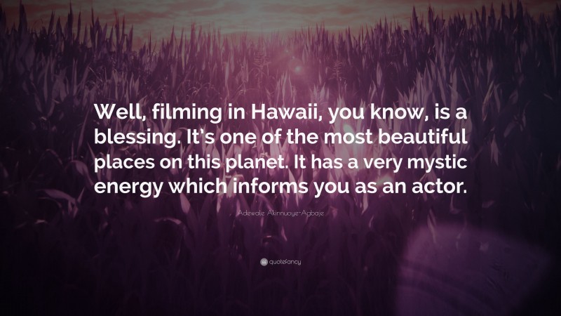 Adewale Akinnuoye-Agbaje Quote: “Well, filming in Hawaii, you know, is a blessing. It’s one of the most beautiful places on this planet. It has a very mystic energy which informs you as an actor.”