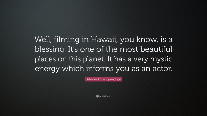 Adewale Akinnuoye-Agbaje Quote: “Well, filming in Hawaii, you know, is a blessing. It’s one of the most beautiful places on this planet. It has a very mystic energy which informs you as an actor.”