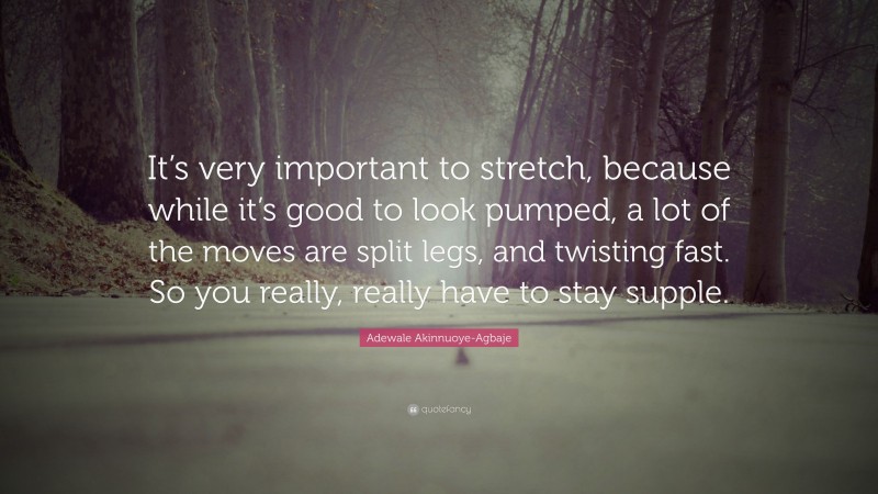 Adewale Akinnuoye-Agbaje Quote: “It’s very important to stretch, because while it’s good to look pumped, a lot of the moves are split legs, and twisting fast. So you really, really have to stay supple.”