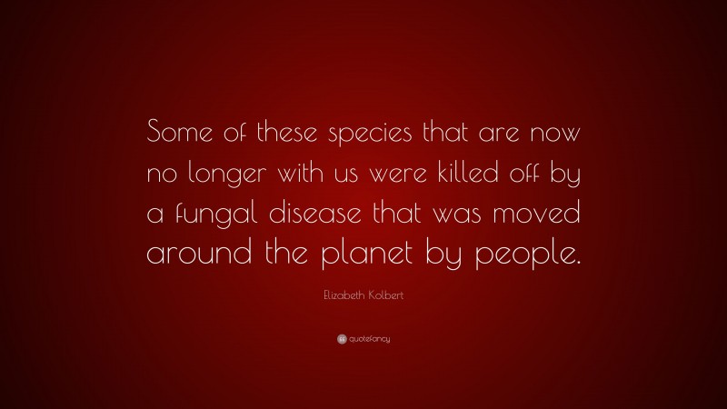 Elizabeth Kolbert Quote: “Some of these species that are now no longer with us were killed off by a fungal disease that was moved around the planet by people.”