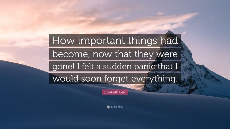 Elizabeth Berg Quote: “How important things had become, now that they were gone! I felt a sudden panic that I would soon forget everything.”