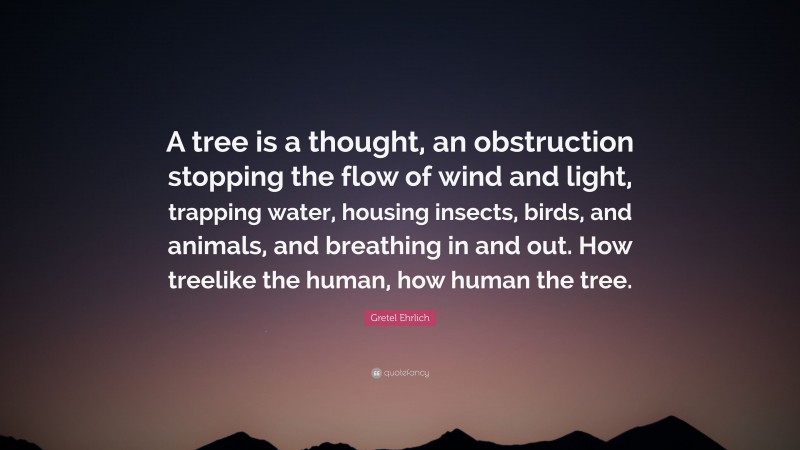 Gretel Ehrlich Quote: “A tree is a thought, an obstruction stopping the flow of wind and light, trapping water, housing insects, birds, and animals, and breathing in and out. How treelike the human, how human the tree.”
