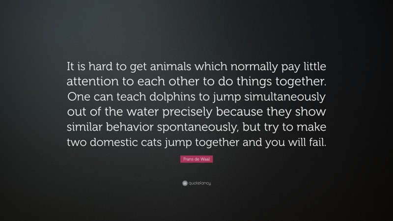 Frans de Waal Quote: “It is hard to get animals which normally pay little attention to each other to do things together. One can teach dolphins to jump simultaneously out of the water precisely because they show similar behavior spontaneously, but try to make two domestic cats jump together and you will fail.”