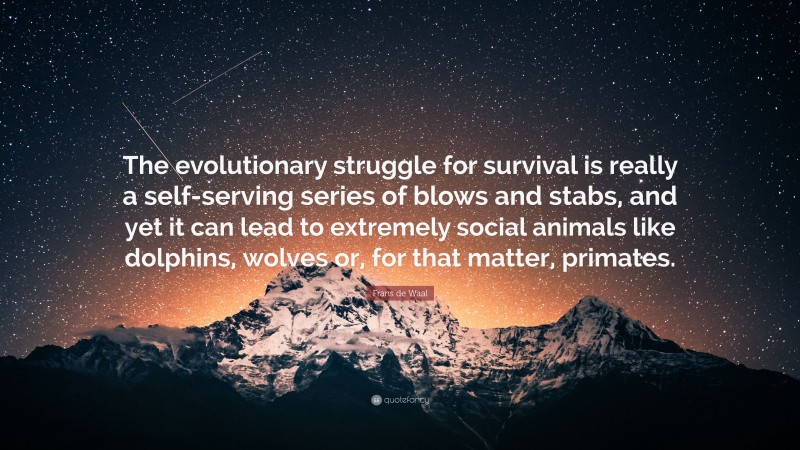 Frans de Waal Quote: “The evolutionary struggle for survival is really a self-serving series of blows and stabs, and yet it can lead to extremely social animals like dolphins, wolves or, for that matter, primates.”