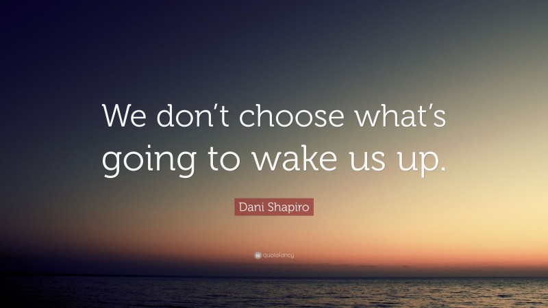 Dani Shapiro Quote: “We don’t choose what’s going to wake us up.”