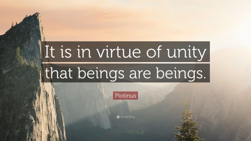 Plotinus Quote: “It is in virtue of unity that beings are beings.”