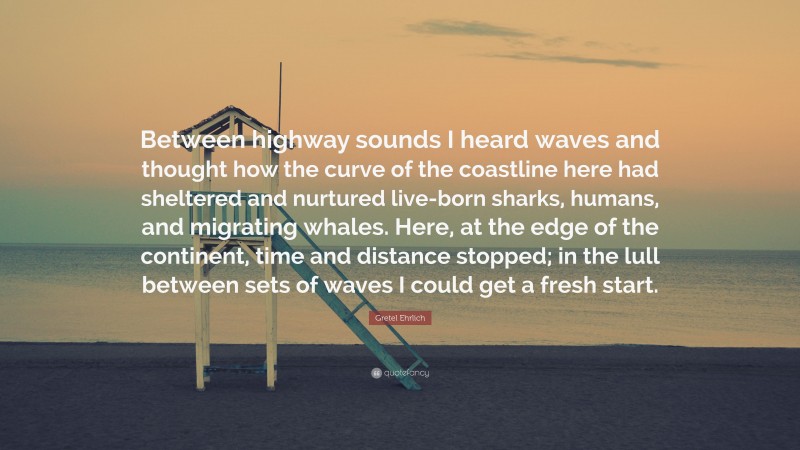 Gretel Ehrlich Quote: “Between highway sounds I heard waves and thought how the curve of the coastline here had sheltered and nurtured live-born sharks, humans, and migrating whales. Here, at the edge of the continent, time and distance stopped; in the lull between sets of waves I could get a fresh start.”