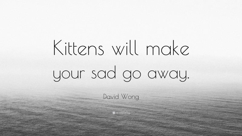 David Wong Quote: “Kittens will make your sad go away.”