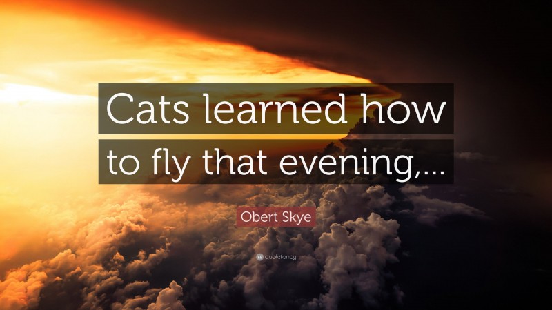 Obert Skye Quote: “Cats learned how to fly that evening,...”