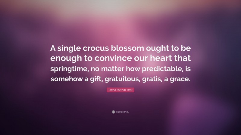 David Steindl-Rast Quote: “A single crocus blossom ought to be enough to convince our heart that springtime, no matter how predictable, is somehow a gift, gratuitous, gratis, a grace.”