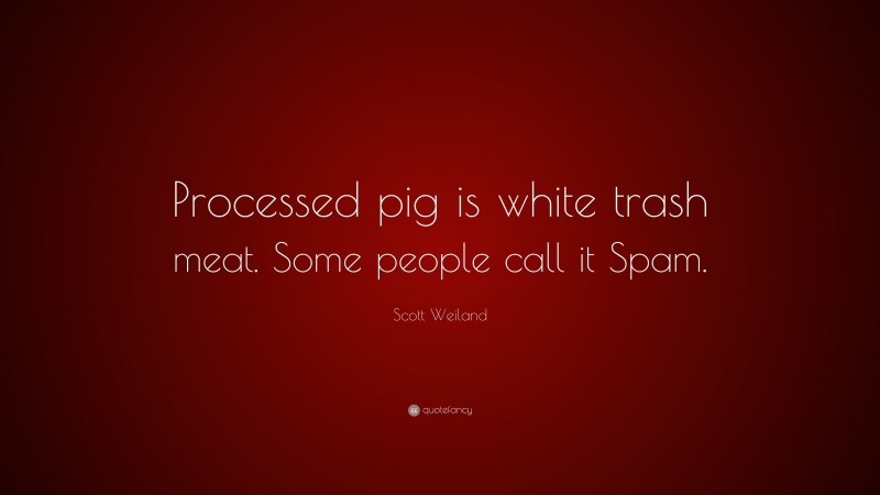 Scott Weiland Quote: “Processed pig is white trash meat. Some people call it Spam.”
