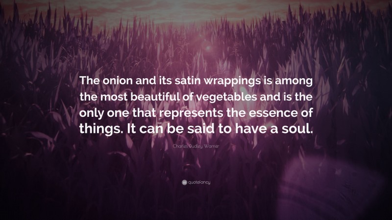 Charles Dudley Warner Quote: “The onion and its satin wrappings is among the most beautiful of vegetables and is the only one that represents the essence of things. It can be said to have a soul.”