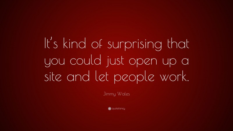 Jimmy Wales Quote: “It’s kind of surprising that you could just open up a site and let people work.”