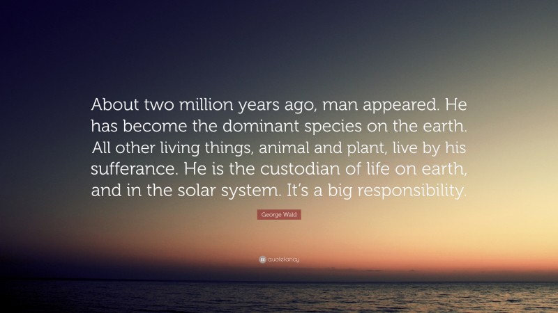 George Wald Quote: “About two million years ago, man appeared. He has become the dominant species on the earth. All other living things, animal and plant, live by his sufferance. He is the custodian of life on earth, and in the solar system. It’s a big responsibility.”