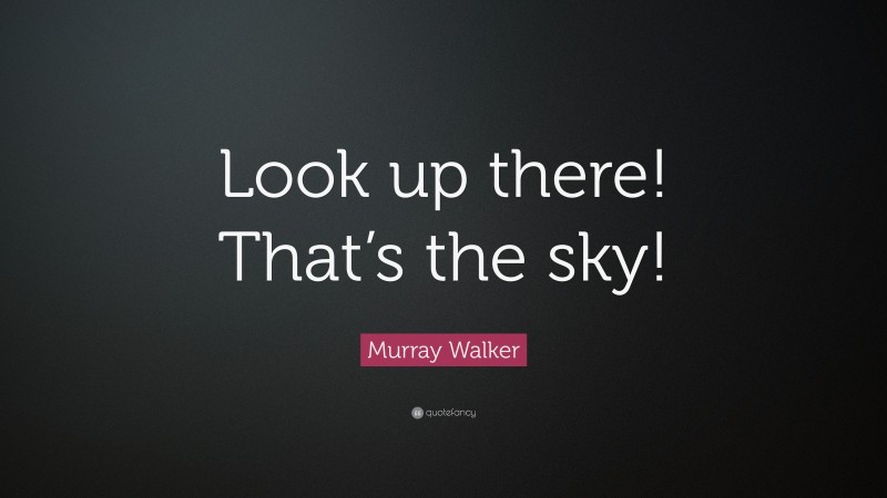 Murray Walker Quote: “Look up there! That’s the sky!”