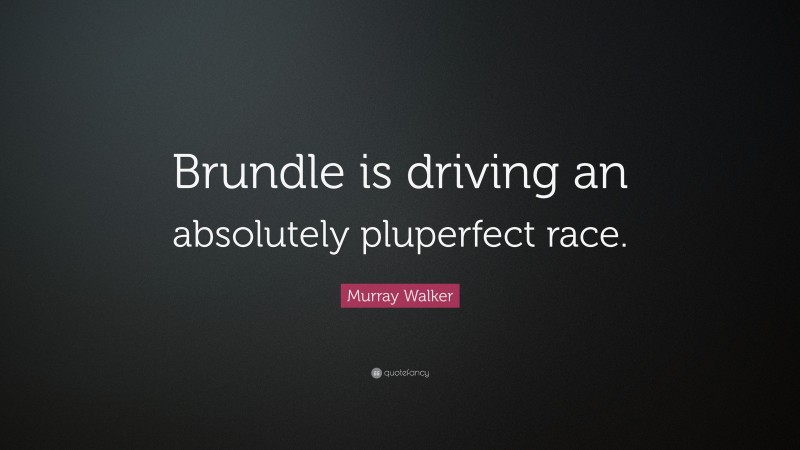 Murray Walker Quote: “Brundle is driving an absolutely pluperfect race.”