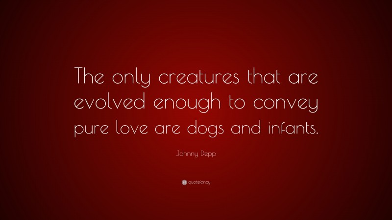 Johnny Depp Quote: “The only creatures that are evolved enough to convey pure love are dogs and infants.”