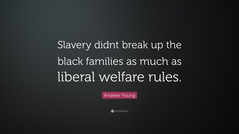 Andrew Young Quote: “Slavery didnt break up the black families as much as liberal welfare rules.”