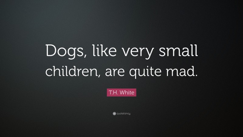 T.H. White Quote: “Dogs, like very small children, are quite mad.”