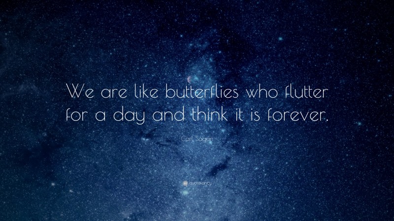 Carl Sagan Quote: “We are like butterflies who flutter for a day and think it is forever.”