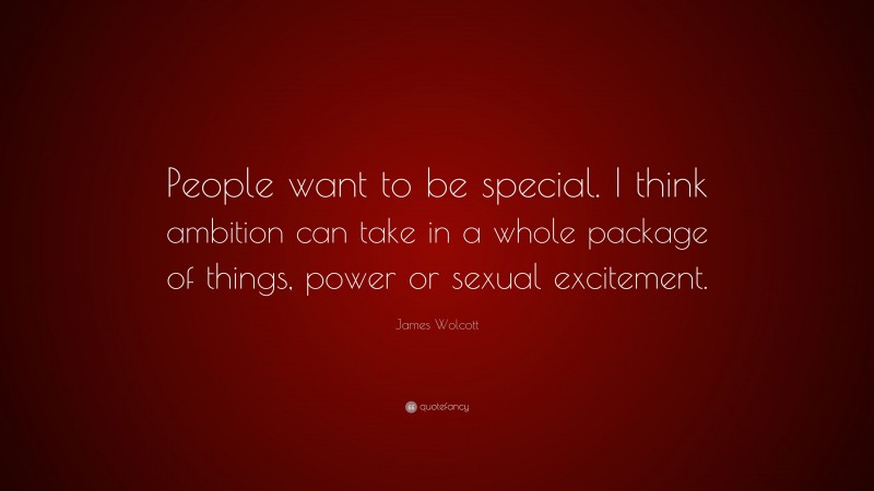 James Wolcott Quote: “People want to be special. I think ambition can take in a whole package of things, power or sexual excitement.”