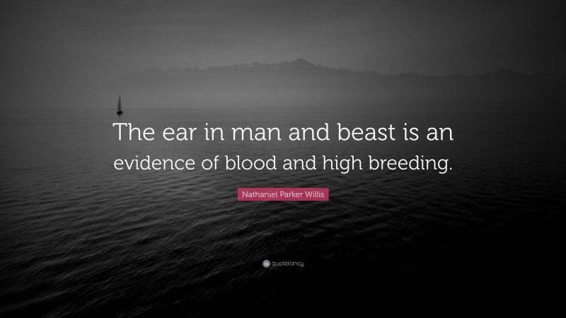 Nathaniel Parker Willis Quote: “The ear in man and beast is an evidence of blood and high breeding.”