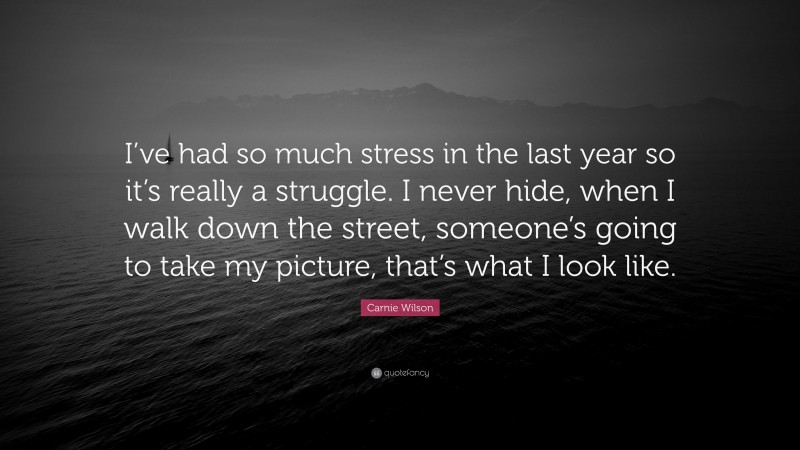 Carnie Wilson Quote: “I’ve had so much stress in the last year so it’s really a struggle. I never hide, when I walk down the street, someone’s going to take my picture, that’s what I look like.”