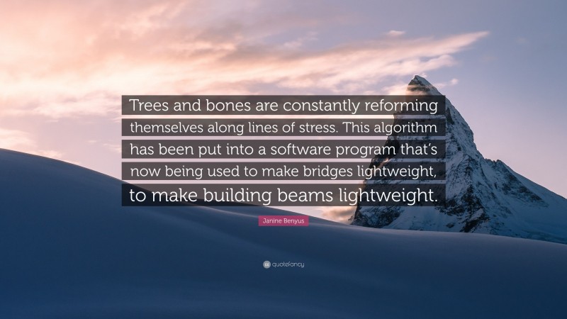 Janine Benyus Quote: “Trees and bones are constantly reforming themselves along lines of stress. This algorithm has been put into a software program that’s now being used to make bridges lightweight, to make building beams lightweight.”