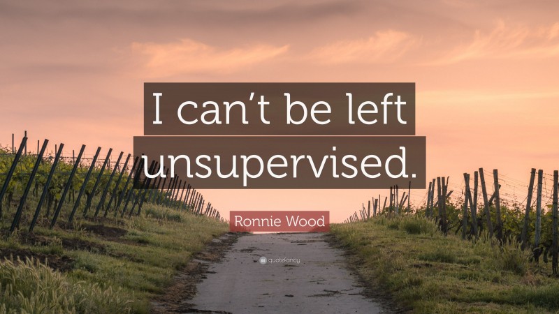 Ronnie Wood Quote: “I can’t be left unsupervised.”
