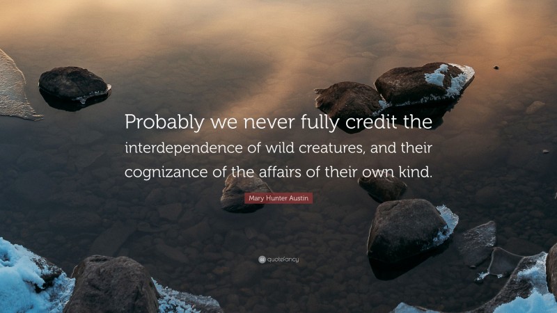 Mary Hunter Austin Quote: “Probably we never fully credit the interdependence of wild creatures, and their cognizance of the affairs of their own kind.”