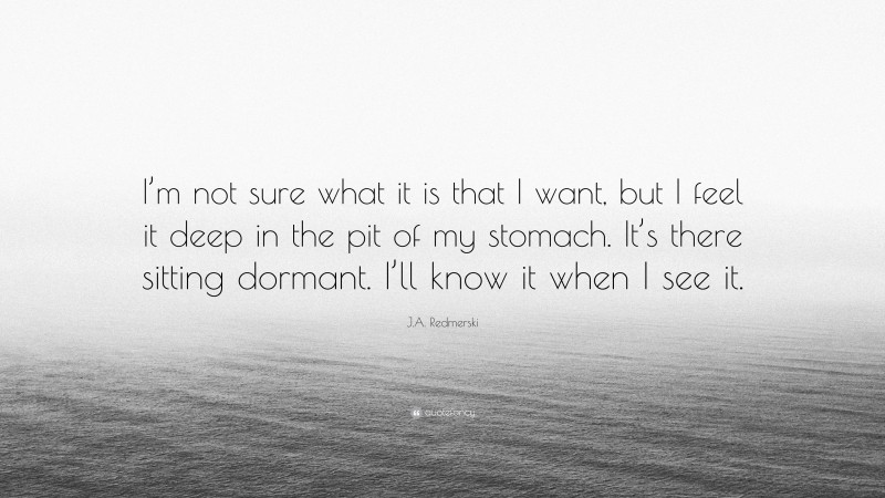 J.A. Redmerski Quote: “I’m not sure what it is that I want, but I feel it deep in the pit of my stomach. It’s there sitting dormant. I’ll know it when I see it.”