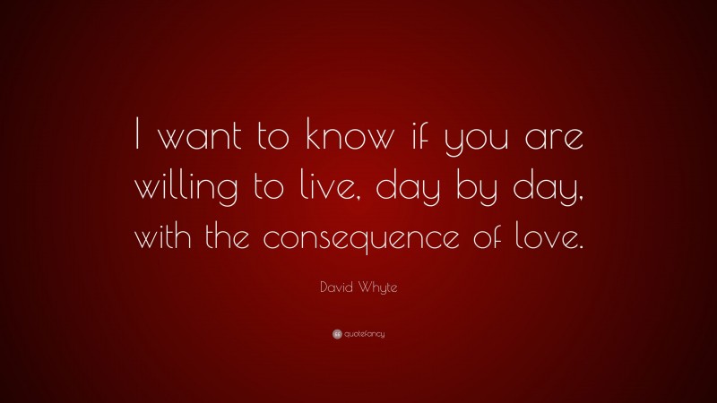 David Whyte Quote: “I want to know if you are willing to live, day by day, with the consequence of love.”