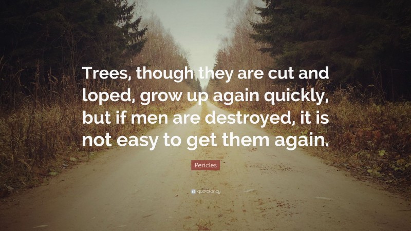 Pericles Quote: “Trees, though they are cut and loped, grow up again quickly, but if men are destroyed, it is not easy to get them again.”