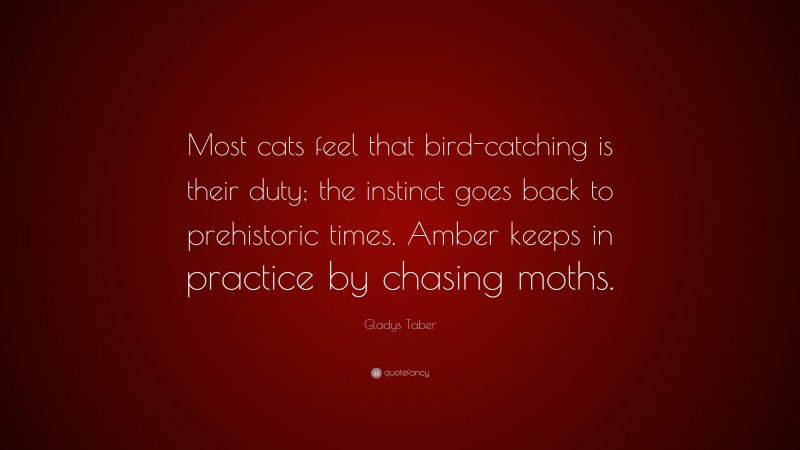 Gladys Taber Quote: “Most cats feel that bird-catching is their duty; the instinct goes back to prehistoric times. Amber keeps in practice by chasing moths.”