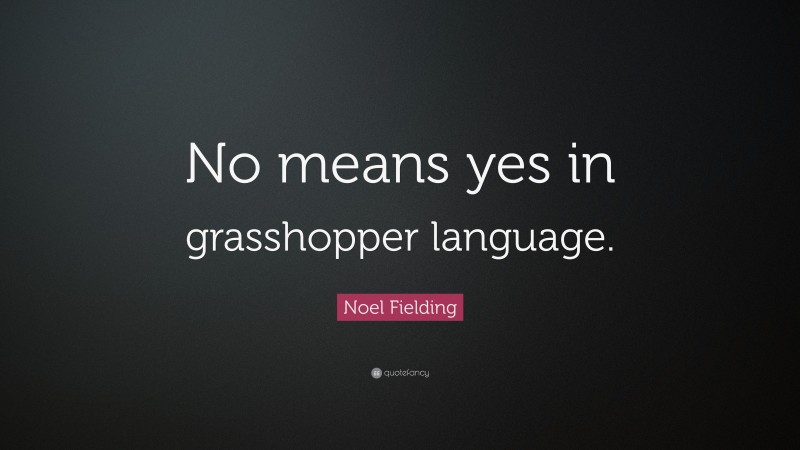 Noel Fielding Quote: “No means yes in grasshopper language.”
