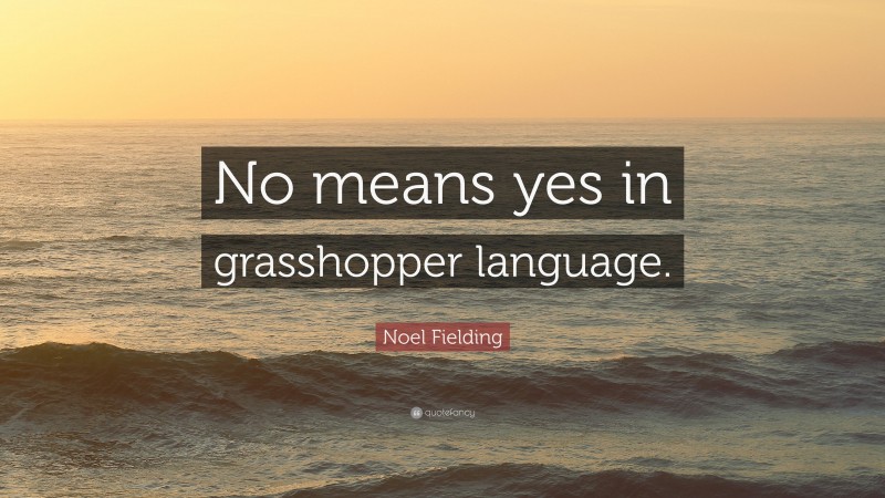 Noel Fielding Quote: “No means yes in grasshopper language.”