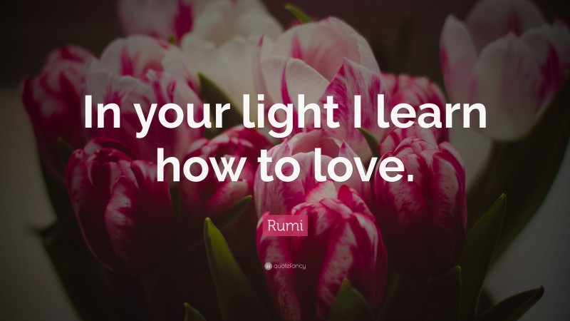 Rumi Quote: “In your light I learn how to love.”