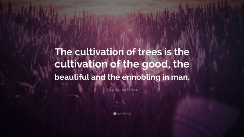 Julius Sterling Morton Quote: “The cultivation of trees is the cultivation of the good, the beautiful and the ennobling in man.”