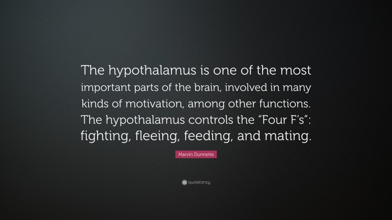 Marvin Dunnette Quote: “The hypothalamus is one of the most important parts of the brain, involved in many kinds of motivation, among other functions. The hypothalamus controls the “Four F’s”: fighting, fleeing, feeding, and mating.”