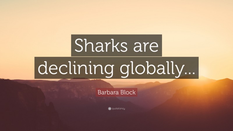 Barbara Block Quote: “Sharks are declining globally...”