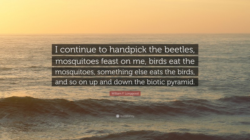 William F. Longgood Quote: “I continue to handpick the beetles, mosquitoes feast on me, birds eat the mosquitoes, something else eats the birds, and so on up and down the biotic pyramid.”