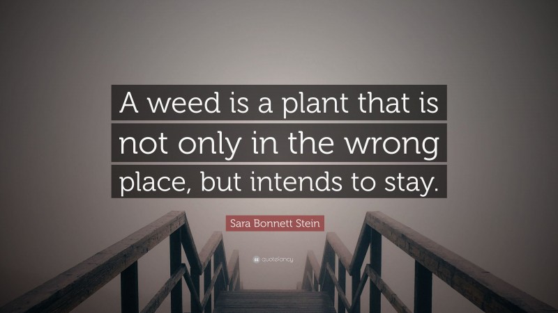 Sara Bonnett Stein Quote: “A weed is a plant that is not only in the wrong place, but intends to stay.”