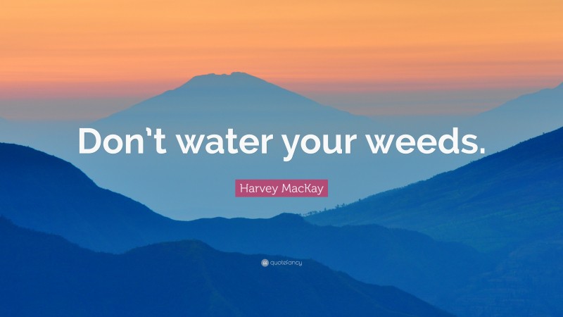 Harvey MacKay Quote: “Don’t water your weeds.”