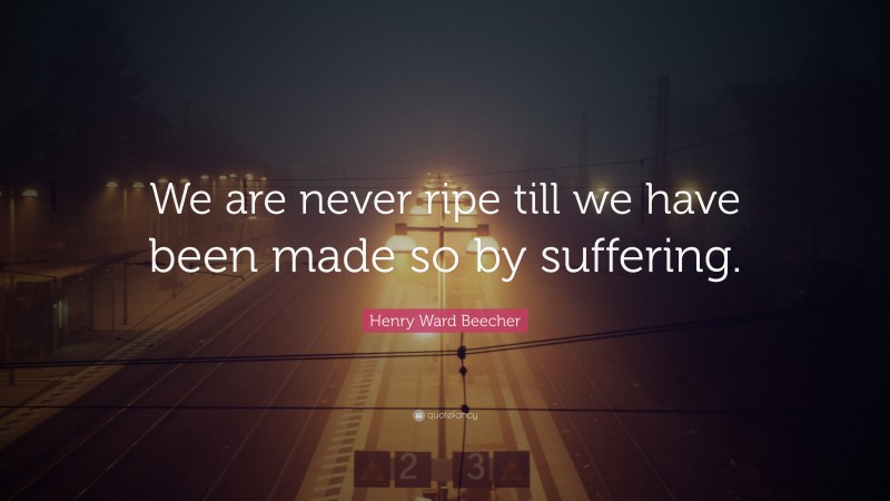 Henry Ward Beecher Quote: “We are never ripe till we have been made so by suffering.”