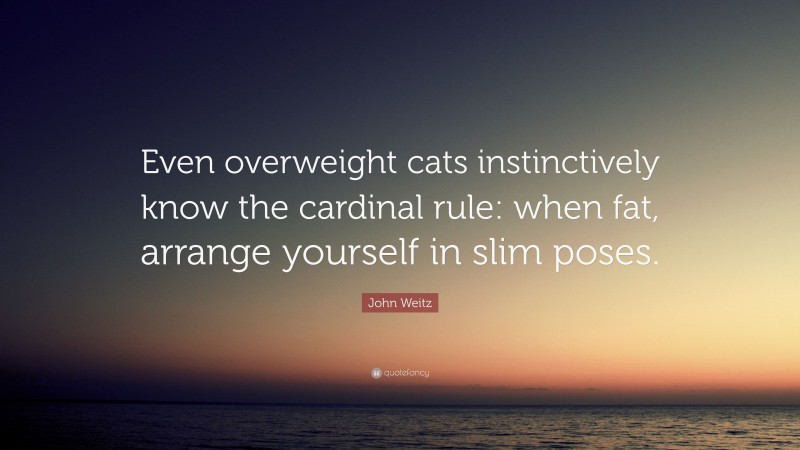 John Weitz Quote: “Even overweight cats instinctively know the cardinal rule: when fat, arrange yourself in slim poses.”