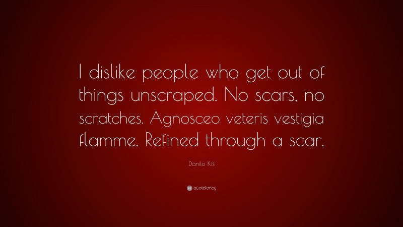 Danilo Kiš Quote: “I dislike people who get out of things unscraped. No scars, no scratches. Agnosceo veteris vestigia flamme. Refined through a scar.”