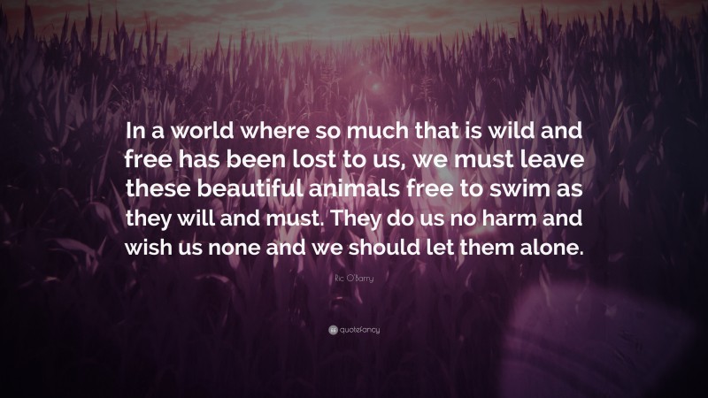 Ric O'Barry Quote: “In a world where so much that is wild and free has been lost to us, we must leave these beautiful animals free to swim as they will and must. They do us no harm and wish us none and we should let them alone.”
