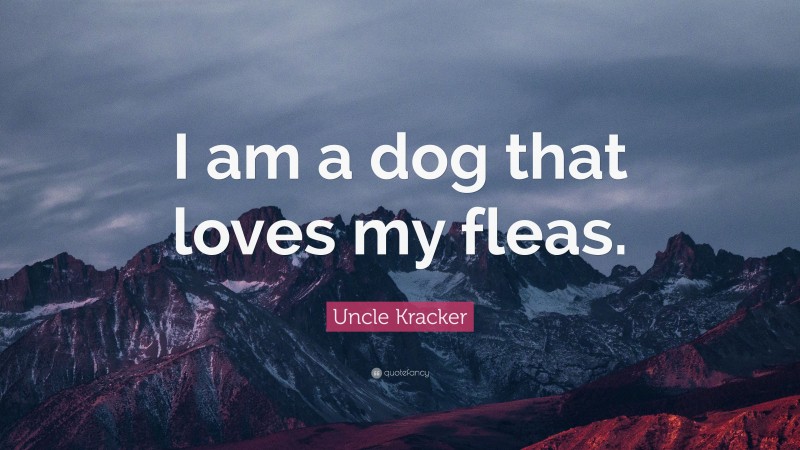 Uncle Kracker Quote: “I am a dog that loves my fleas.”